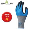 S-TEX 376 ショーワグローブ