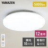 LC-E12 10段階調光 LEDシーリングライト リモコン付き YAMAZEN(山善) 27029250