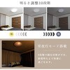 LC-E12 10段階調光 LEDシーリングライト リモコン付き YAMAZEN(山善) 27029250