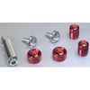 NERV NUMBER PLATE BOLT & VALVE CAP FOR BIKE Ver.2 KYO-EI