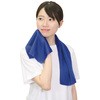 51167 冷感タオル アーテック[学校教材・教育玩具] 28530558