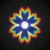 ホロスペックスフィルム 花 ナリカ