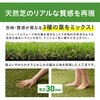 CT-30210 OpClH ACXI[} 28775524