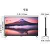 JN-V5500UHDR-N tfBXvC/55^/3840~2160/HDMI~3ADP~1AVGA~1/ubN/Xs[J[FL JAPANNEXT 29123029