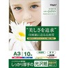 インクジェット用紙 光沢紙PX 厚手 ナカバヤシ