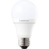 EG-A40GL LED電球 E26 広配光 Luminous(ルミナス) 29229306