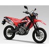 110-42E-5L80B CRF250RALLY/L/M @BRS-4J J[{Gh EXPORT SPEC {F V 29271674