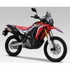 110-42E-5P80B CRF250RALLY/L/M Slip-OnRS-4J J[{Gh EXPORT SPEC {F V 29271717