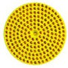 29275339