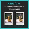 INS MINI EVO BROWN C h`FLh INSTAX mini Evo tWtC 29357870