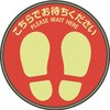 29379807