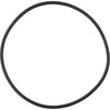29446664