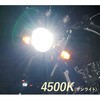 29498764