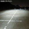 29498904