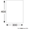 30087304