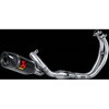 RACING (2-1) カーボン (ヘキサゴナルサイレンサー) AKRAPOVIC (アクラポビッチ)