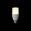 LDT13LG T`LED 100W` E26 UR[|[V 31071235