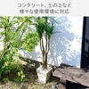 31082426,31082435,31082469,31082478