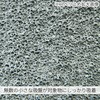 31083546,31083555,31083564,31083580