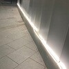 31107547,31107556
