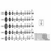 Y1Y918200 CS-6800 XvPbg18T C SHIMANO(V}m) 31107755