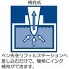 31174984,31175000
