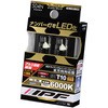 LED バルブ IPF