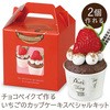 チョコベイクで作るいちごのカップケーキスペシャルキット アーテック(学校教材・教育玩具)