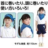 18169 バンダナ 10枚組 アーテック[学校教材・教育玩具] 31226504