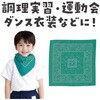 18173 バンダナ 10枚組 アーテック[学校教材・教育玩具] 31226547