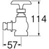 31248665