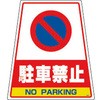 31249656