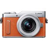DC-GF10W-D LUMIX DC-GF10W ~[XJ _uYLbg LUMIX(Panasonic) 31284497