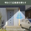 31284725