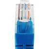 CAT5e-NY-BU2 LANP[u CAT5e m^E 31329707