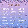 - バスクリン バスクリン 31357918
