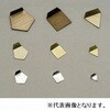 󕪓 XeX OIML^ (F2)