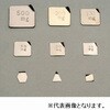 󕪓 XeX ^ (F2)