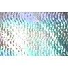 31384511,31384520,31384529,31384538,31384547,31384556,31384565,31384581