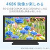 2CMS 4K8K�Ή� ����� F�^�[�q DX�A���e�i 31420944