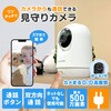 SC-DC55BW-SDNN SecuSTATION pĎJyJ܂D掿z SecuSTATION 31429600