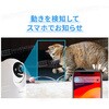 SC-DC55BW-SDNN SecuSTATION pĎJyJ܂D掿z SecuSTATION 31429600