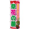 芝桜