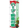 野菜の苗