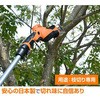 LPSK-210E }K[f|[\[p ֐n YAMAZEN(RP) 31476069