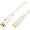 DisplayPortP[u