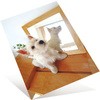 IT-125GC(46063) ꂢȌ PLUS(vX)[] 31526215