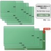 168(40504) 片面無移行 デスクマット 下敷き付き 光沢 軟質 PLUS(プラス)[文具] 31531912