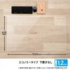 DM-006(41006) デスクマット エコノミー 透明 光沢 PLUS(プラス)[文具] 31532113