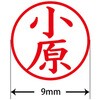 31535017